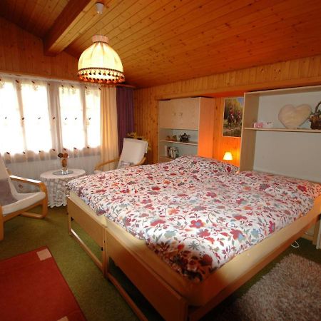 Pristine Home In A Charming Village Large Grassy Sunbathing Area View Of The M Nch And Jungfrau 维尔德斯韦尔 外观 照片
